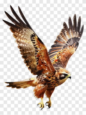 Realistic Hawk In Flight PNG
