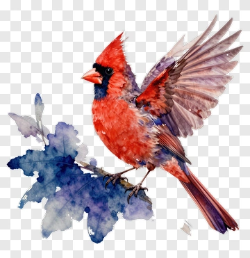 Red Cardinal Perched On A Branch PNG