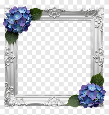 Decorative Silver Frame With Blue Hydrangeas PNG