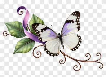 Butterfly On A Decorative Branch With Leaves PNG
