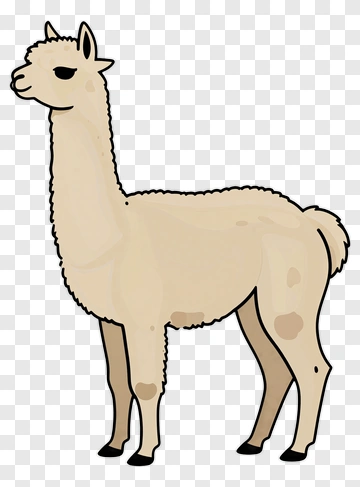 Cartoon Alpaca PNG