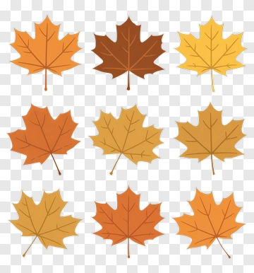 Colorful Maple Leaves PNG