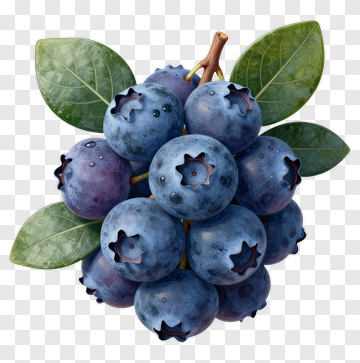 Fresh Blueberries With Green Leaves PNG