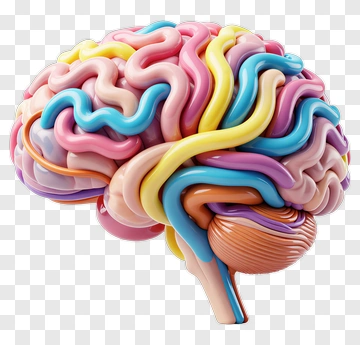 Colorful Brain Model PNG