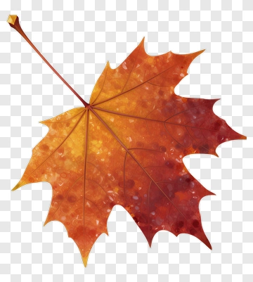 Colorful Maple Leaf PNG