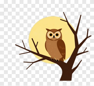 Cartoon Owl Sitting On A Tree Branch PNG