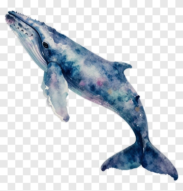 Watercolor Blue Whale PNG