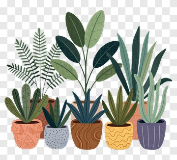 Colorful Potted Plants Arrangement PNG
