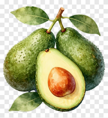 Avocado With Leaves PNG