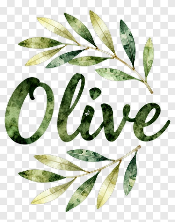 Olive Leaves With Watercolor Text PNG