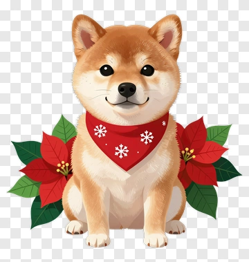 Shiba Inu Dog With Holiday Poinsettias PNG