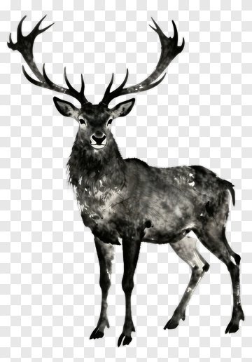 Stylized Deer With Antlers PNG