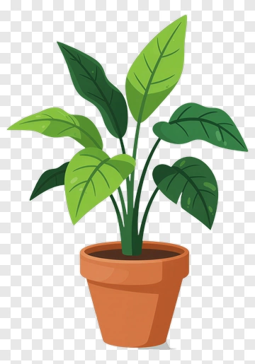 Potted Plant With Green Leaves PNG