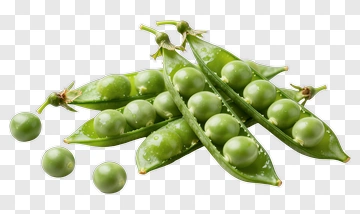 Fresh Green Peas In Pods PNG