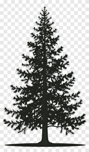 Black Pine Tree PNG