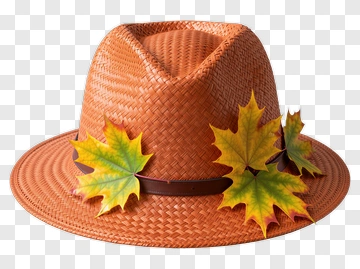 Straw Hat With Autumn Leaves PNG
