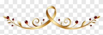 Golden Floral Decorative Border PNG