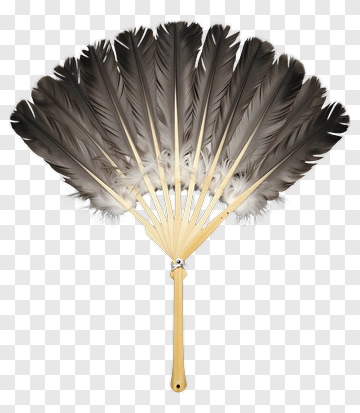 Feather Fan PNG