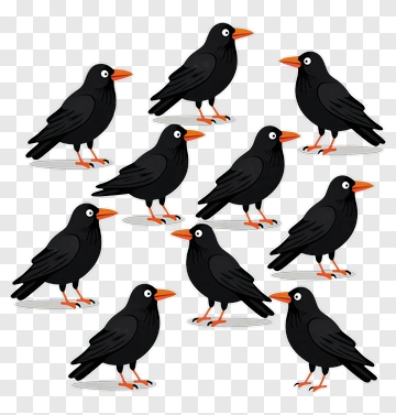 Cartoon Black Birds With Orange Beaks PNG