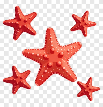 Red Starfish Group PNG