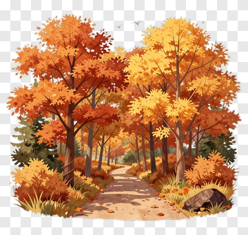 Autumn Forest Pathway PNG