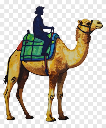 Camel Rider PNG