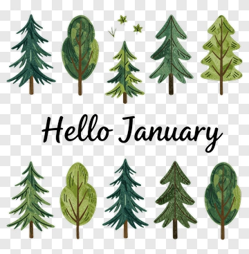 Colorful Trees With Hello January Text PNG
