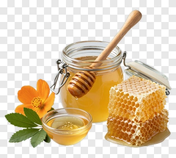 Honey Jar With Honeycomb And Flower PNG