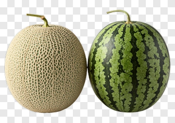 Melon And Watermelon Side By Side PNG