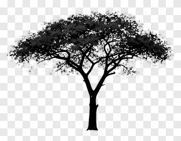 Silhouette Tree PNG