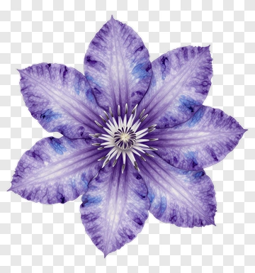 Purple Flower With Detailed Petals PNG