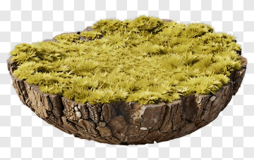3D Grass And Moss Covered Log PNG