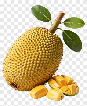Fresh Durian With Sliced Fruit PNG