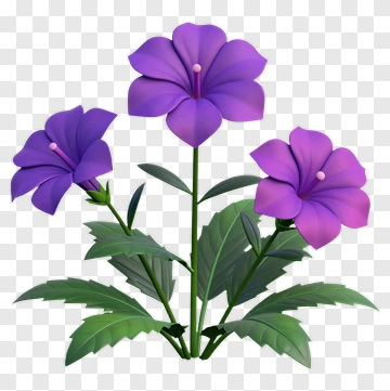 Purple Flower Plant PNG