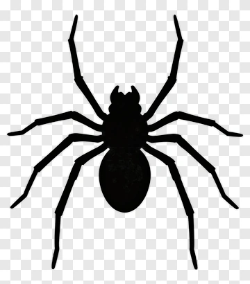 Silhouette Spider PNG