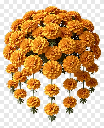 Colorful Marigold Flower Bouquet PNG
