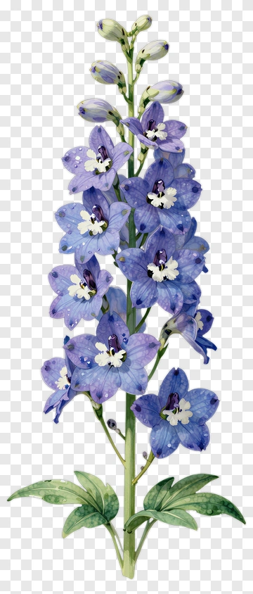 Watercolor Blue Flower PNG