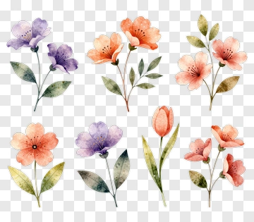 Watercolor Flower Bouquet PNG