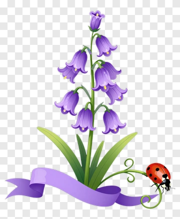 Purple Bellflower With Ladybug PNG