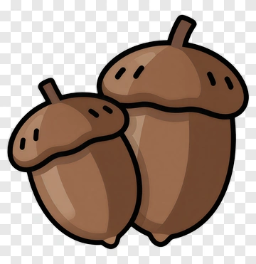 Cartoon Acorns PNG