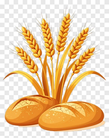 Wheat And Bread Loaves PNG