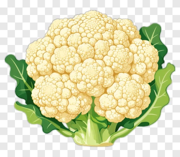 Cauliflower With Green Leaves PNG