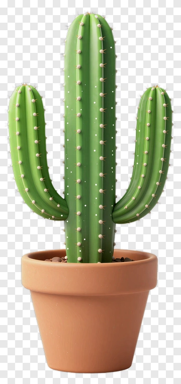 Green Cactus In A Pot PNG