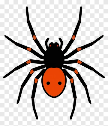 Cartoon Spider With Orange Accents PNG