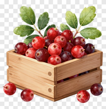 Wooden Basket Filled With Red Berries PNG