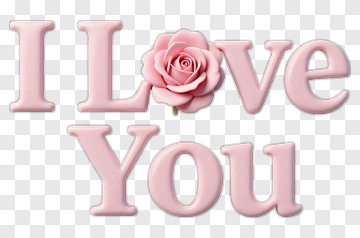 I Love You With Pink Rose PNG