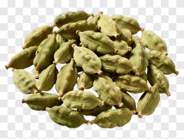 Green Cardamom Pods PNG