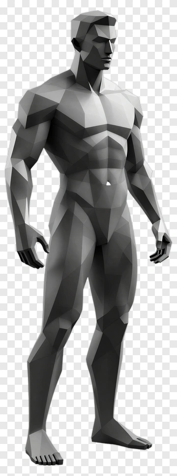 3D Polygonal Male Figure PNG