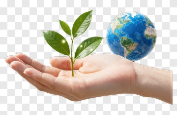 Hand Holding A Plant With Earth In Background PNG