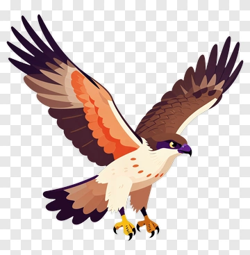 Cartoon Eagle Flying PNG